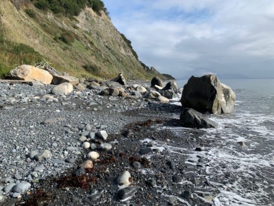 Photo of Diamond Creek Trails