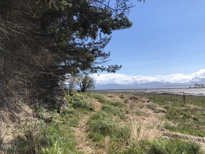 Photo of Mud Bay Trail