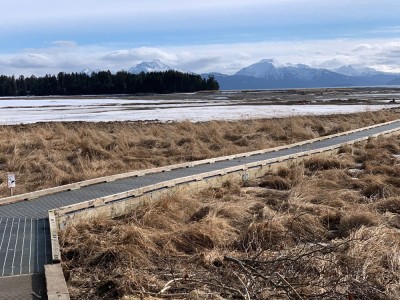 Photo of Beluga Slough Trails