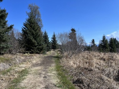 Photo of Pratt Museum - Middle School Trails