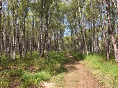 Photo of Ray Clapp Trail