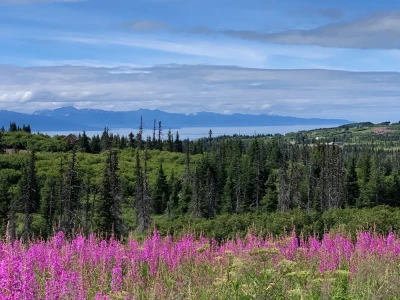 Photo of Eveline State Recreation Trails