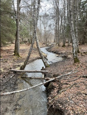 Photo of Calvin and Coyle Nature Trail